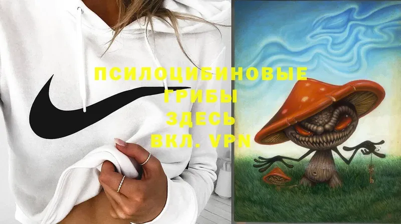 Галлюциногенные грибы Magic Shrooms  Бахчисарай 